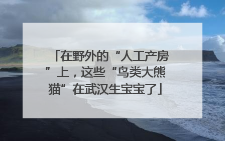 在野外的“人工产房”上，这些“鸟类大熊猫”在武汉生宝宝了