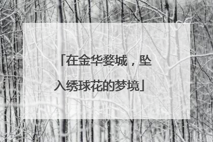 在金华婺城，坠入绣球花的梦境