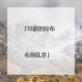 导游的拉布布别乱拿