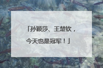 孙颖莎、王楚钦，今天也是冠军！