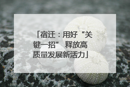 宿迁：用好“关键一招” 释放高质量发展新活力