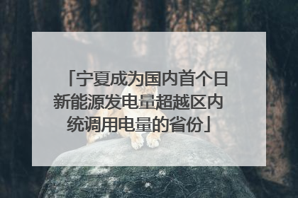 宁夏成为国内首个日新能源发电量超越区内统调用电量的省份