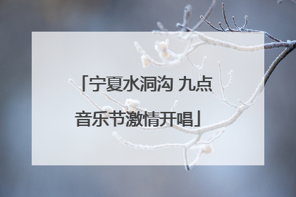 宁夏水洞沟 九点音乐节激情开唱
