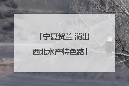 宁夏贺兰 淌出西北水产特色路