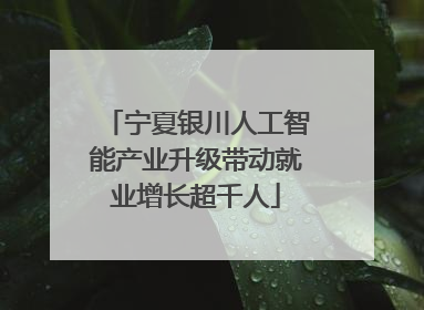 宁夏银川人工智能产业升级带动就业增长超千人