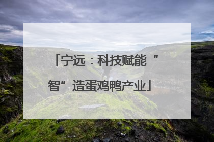 宁远：科技赋能“智”造蛋鸡鸭产业