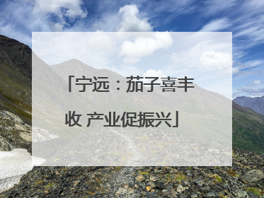 宁远：茄子喜丰收 产业促振兴