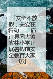 安全不放假，关爱在行动——庐江县同大镇农林小学开展暑假前安全教育大家访