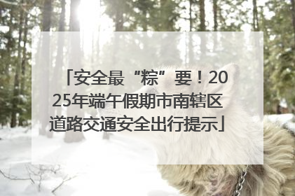 安全最“粽”要！2025年端午假期市南辖区道路交通安全出行提示
