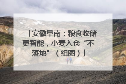 安徽阜南：粮食收储更智能，小麦入仓“不落地”（组图）