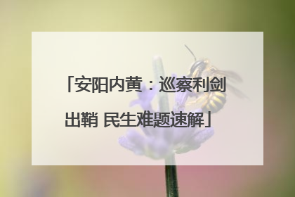 安阳内黄：巡察利剑出鞘 民生难题速解