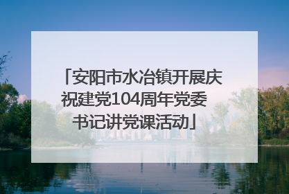 安阳市水冶镇开展庆祝建党104周年党委书记讲党课活动