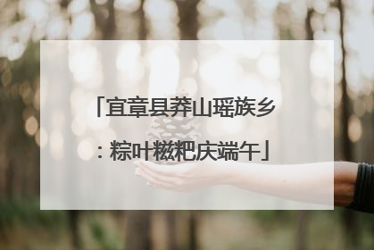 宜章县莽山瑶族乡：粽叶糍粑庆端午