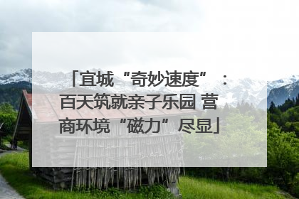宜城“奇妙速度”：百天筑就亲子乐园 营商环境“磁力”尽显