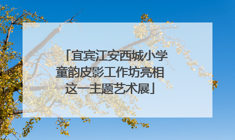 宜宾江安西城小学童韵皮影工作坊亮相这一主题艺术展