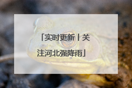 实时更新丨关注河北强降雨