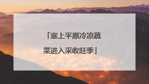 塞上平原冷凉蔬菜进入采收旺季