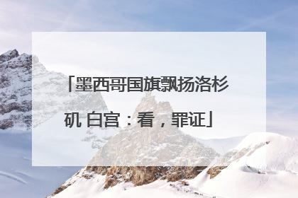 墨西哥国旗飘扬洛杉矶 白宫：看，罪证