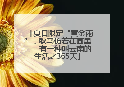 夏日限定“黄金雨”，耿马仿若在画里——有一种叫云南的生活之365天