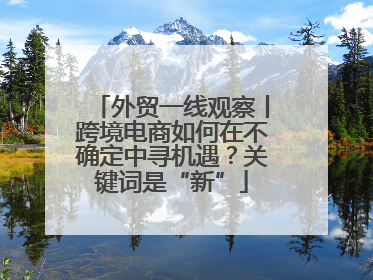 外贸一线观察丨跨境电商如何在不确定中寻机遇？关键词是“新”