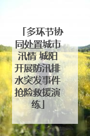 多环节协同处置城市汛情 城阳开展防汛排水突发事件抢险救援演练
