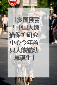 多图预警！中国大熊猫保护研究中心今年首只大熊猫幼崽诞生