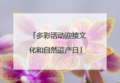 多彩活动迎接文化和自然遗产日