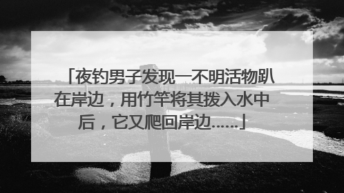 夜钓男子发现一不明活物趴在岸边，用竹竿将其拨入水中后，它又爬回岸边……
