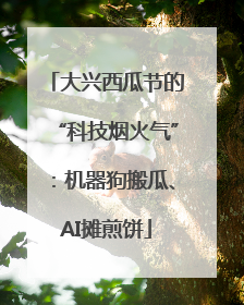 大兴西瓜节的“科技烟火气”：机器狗搬瓜、AI摊煎饼