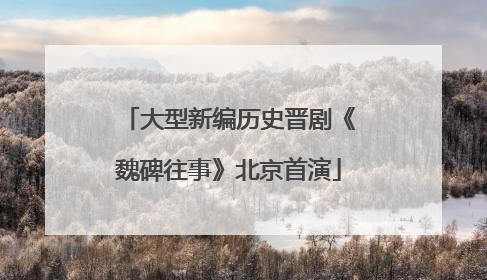 大型新编历史晋剧《魏碑往事》北京首演
