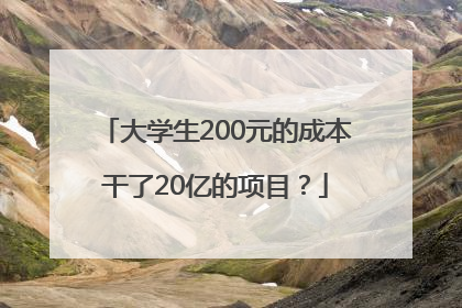 大学生200元的成本干了20亿的项目？