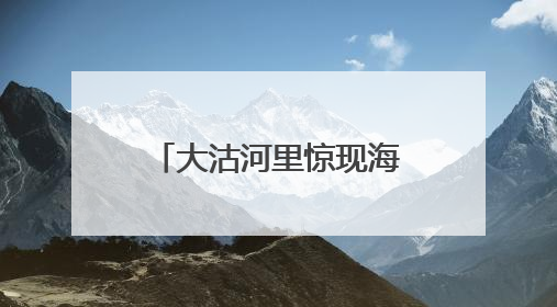 大沽河里惊现海豹？专家：有过此类案例，市民不要自行靠近