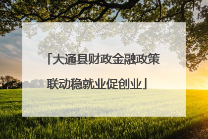 大通县财政金融政策联动稳就业促创业