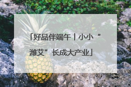 好品伴端午丨小小“潍艾”长成大产业