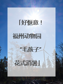 好惬意！福州动物园“毛孩子”花式消暑