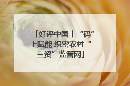 好评中国丨“码”上赋能 织密农村“三资”监管网