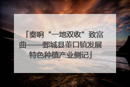 奏响“一地双收”致富曲——鄄城县董口镇发展特色种植产业侧记