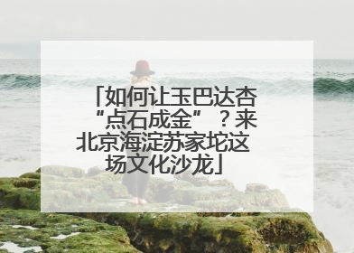 如何让玉巴达杏“点石成金”？来北京海淀苏家坨这场文化沙龙