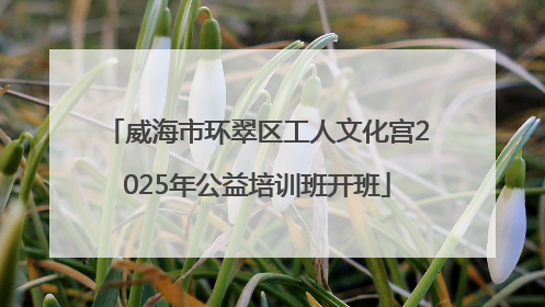 威海市环翠区工人文化宫2025年公益培训班开班