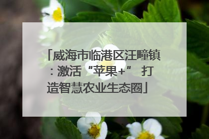 威海市临港区汪疃镇：激活“苹果+” 打造智慧农业生态圈