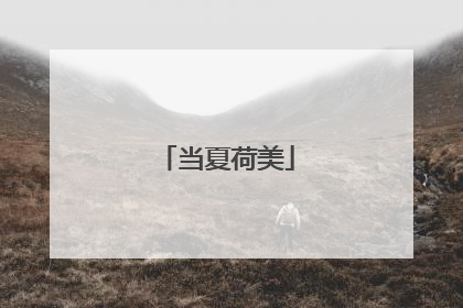 当夏荷美