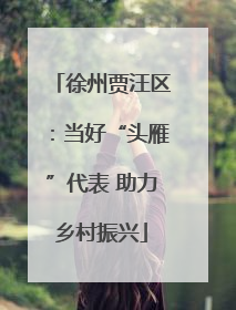 徐州贾汪区：当好“头雁”代表 助力乡村振兴