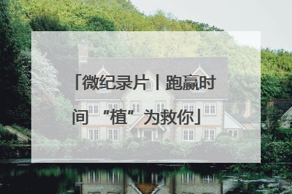 微纪录片丨跑赢时间 “植”为救你