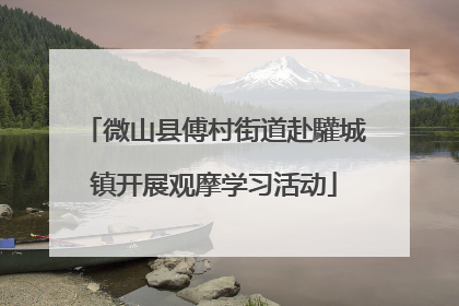 微山县傅村街道赴驩城镇开展观摩学习活动
