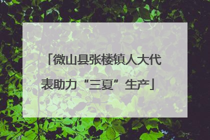 微山县张楼镇人大代表助力“三夏”生产