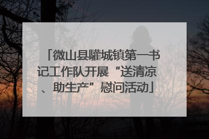 微山县驩城镇第一书记工作队开展“送清凉、助生产”慰问活动