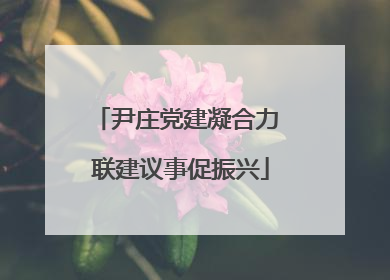 尹庄党建凝合力 联建议事促振兴