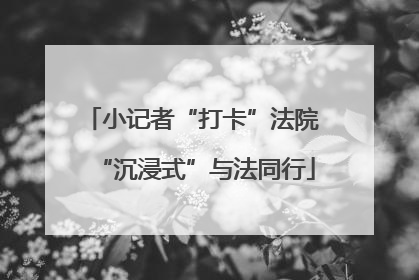 小记者“打卡”法院 “沉浸式”与法同行