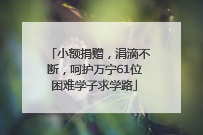 小额捐赠，涓滴不断，呵护万宁61位困难学子求学路