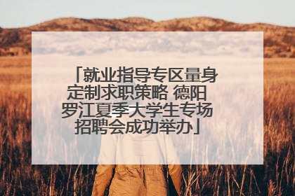 就业指导专区量身定制求职策略 德阳罗江夏季大学生专场招聘会成功举办